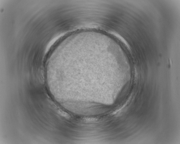 X0000078300878200611251506