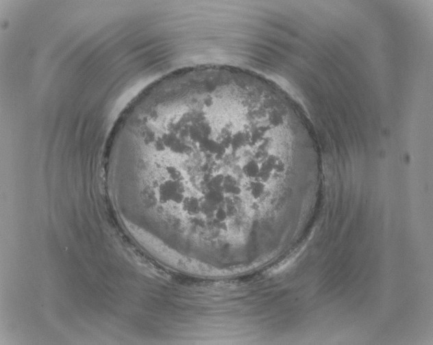 X0000078300879200611251506