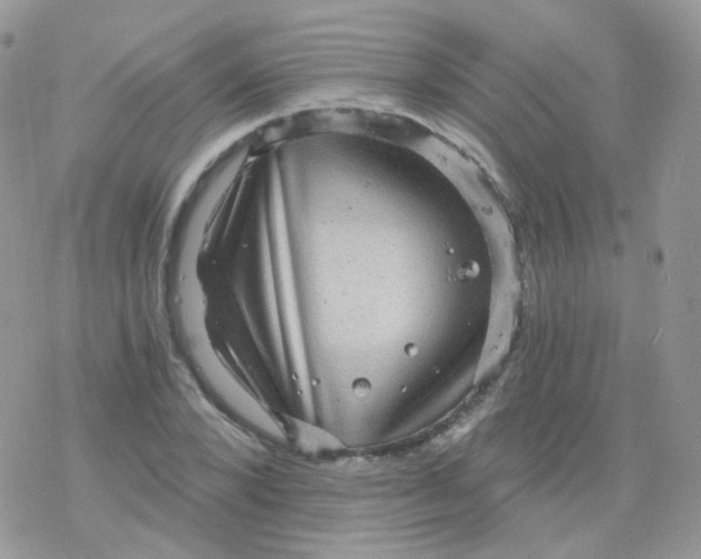 X0000078300880200611251506