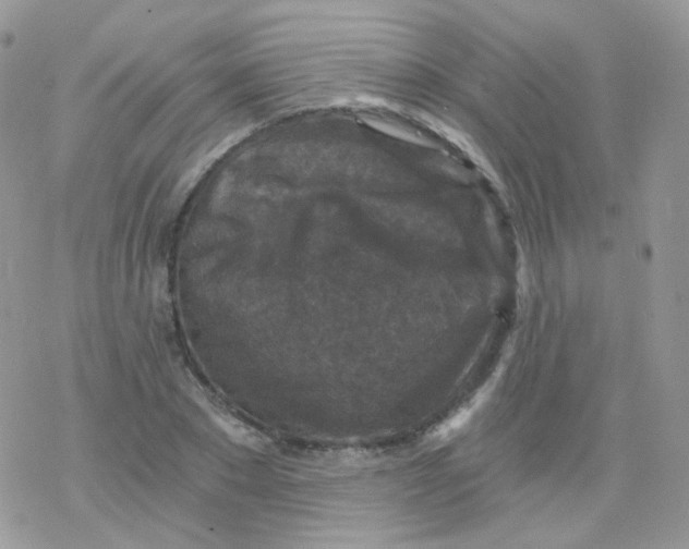 X0000078300881200611251506