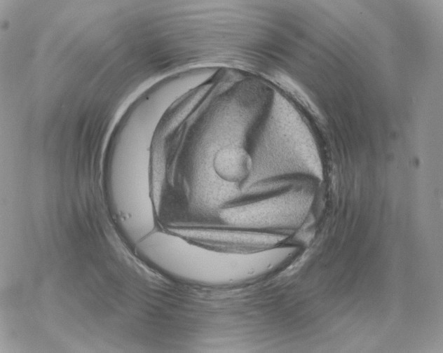 X0000078300884200611251506