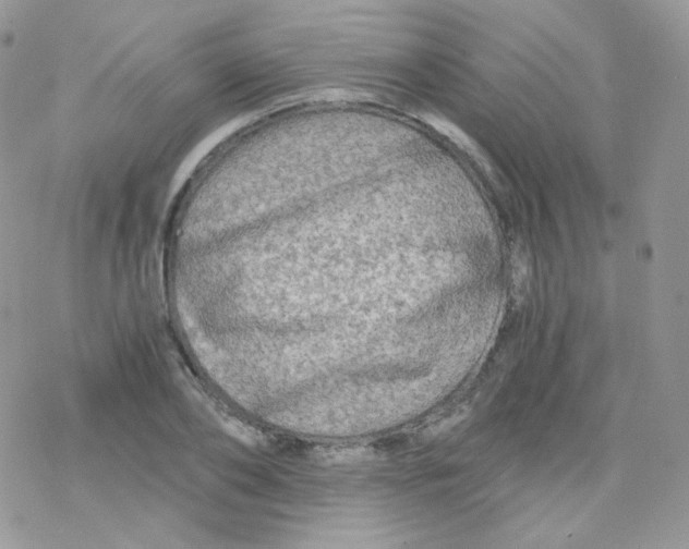 X0000078300886200611251506