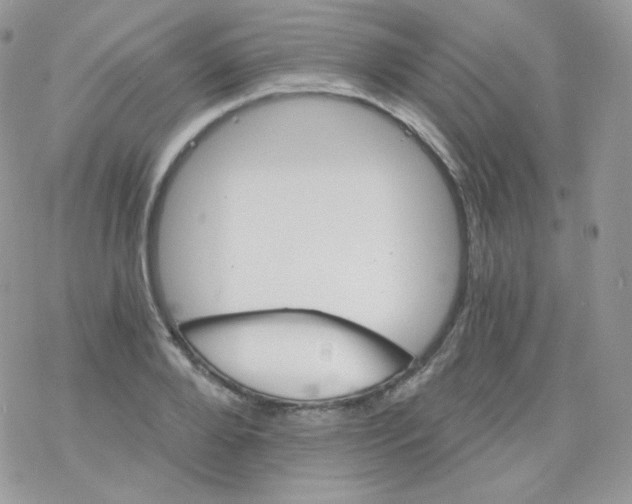 X0000078300888200611251506