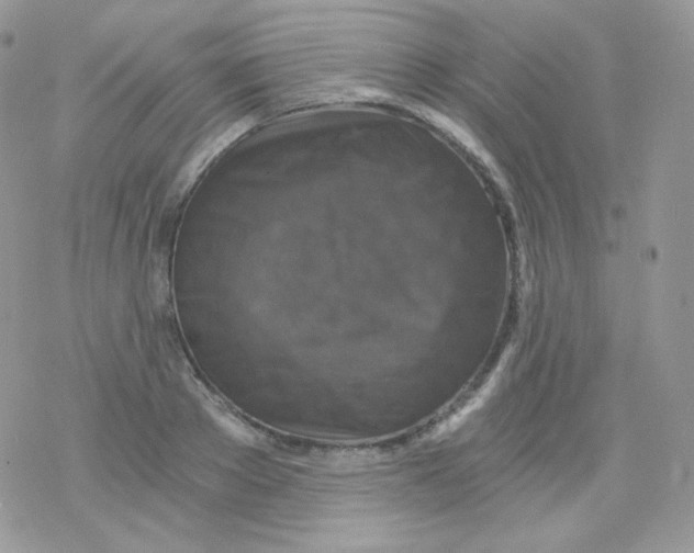 X0000078300889200611251506