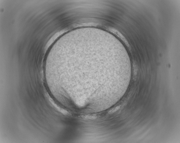 X0000078300890200611251506