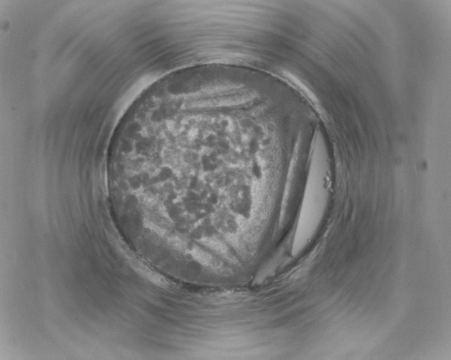 X0000078300891200611251506