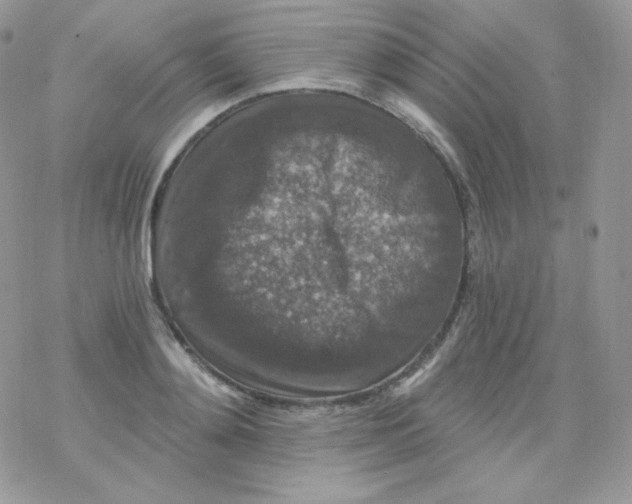 X0000078300892200611251506