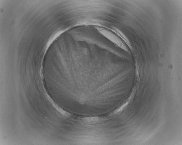 X0000078300893200611251506