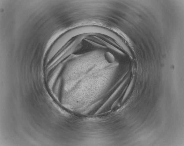 X0000078300894200611251505