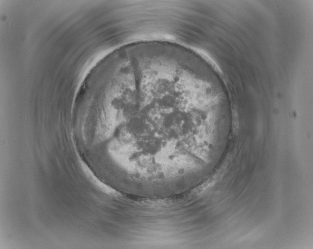 X0000078300895200611251505