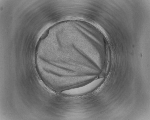 X0000078300896200611251505