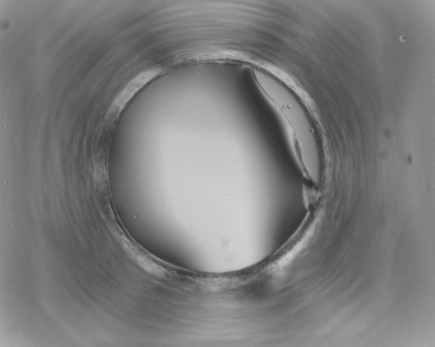 X0000078300897200611251505