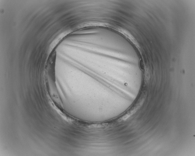 X0000078300898200611251505