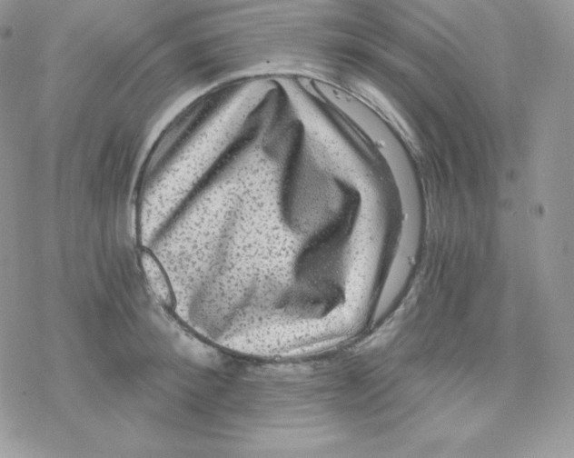 X0000078300900200611251505