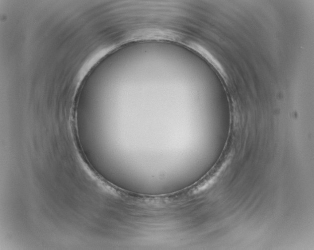 X0000078300901200611251505