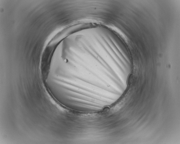 X0000078300902200611251505