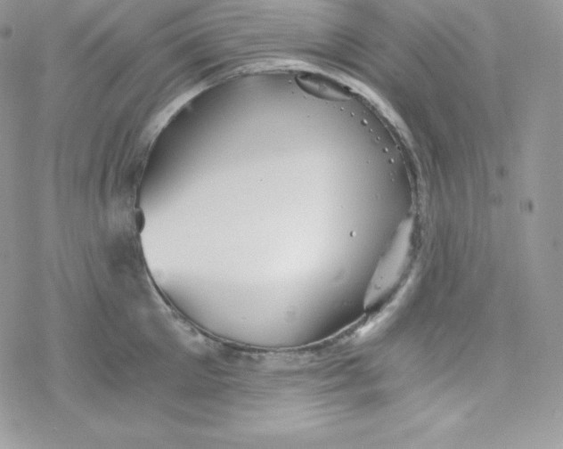 X0000078300905200611251505