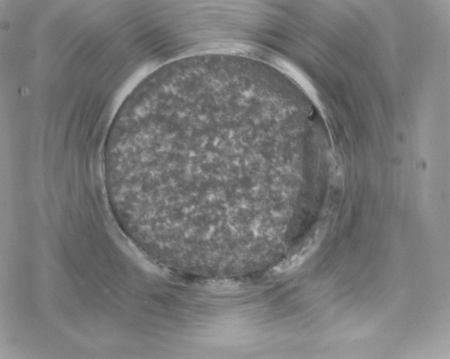 X0000078300907200611251505