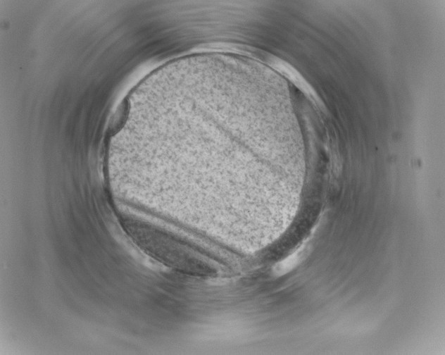 X0000078300908200611251505