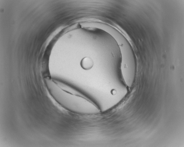 X0000078300909200611251505