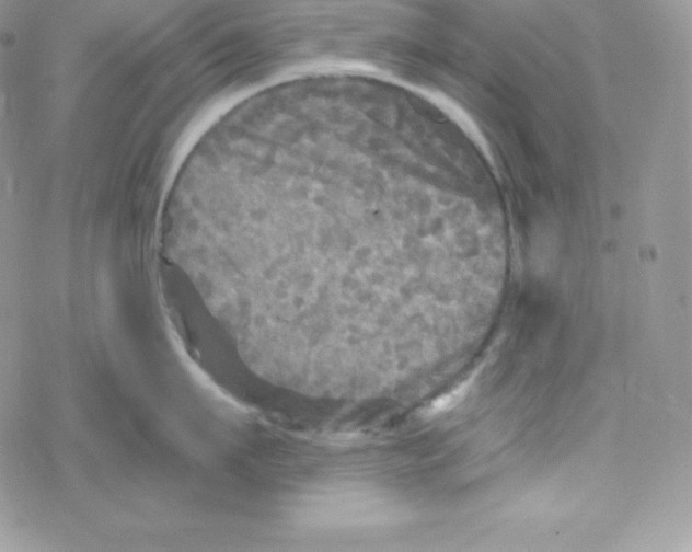 X0000078300911200611251505