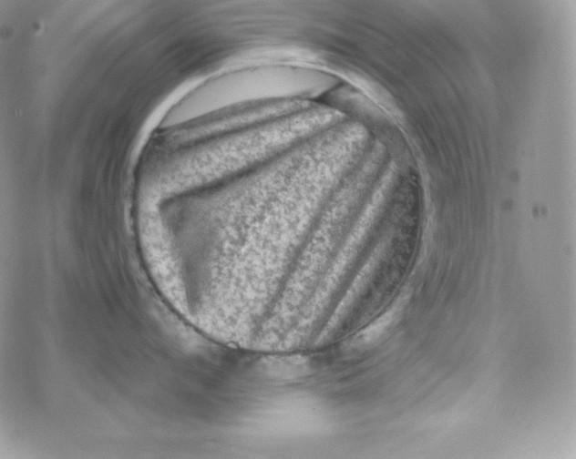 X0000078300912200611251505