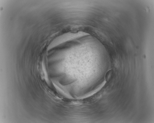 X0000078300914200611251504