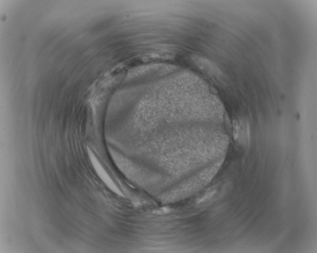 X0000078300915200611251504