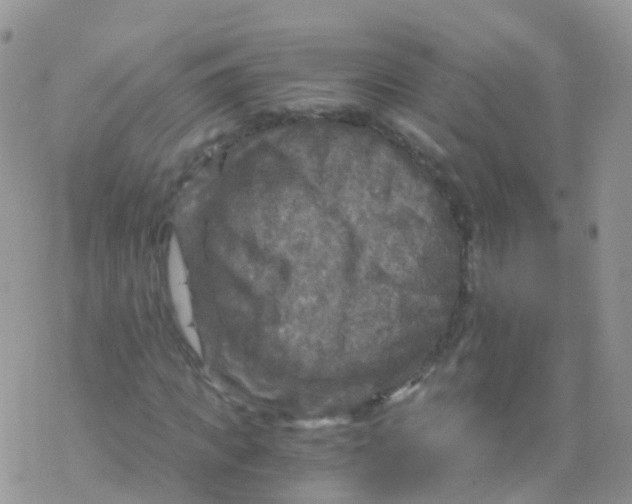 X0000078300917200611251504