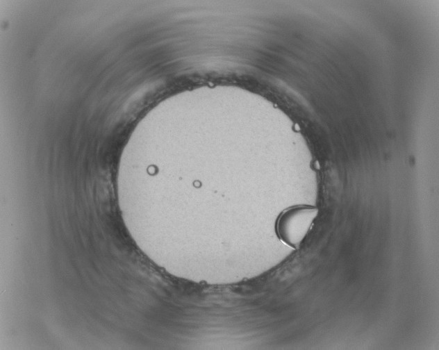 X0000078300918200611251505