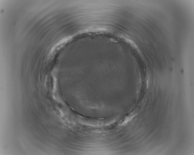 X0000078300920200611251505