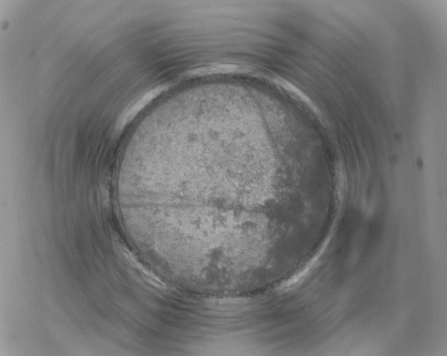 X0000078300921200611251505