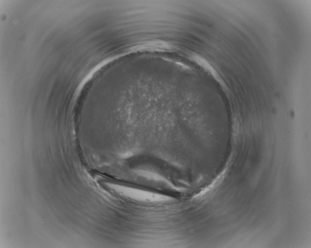 X0000078300923200611251505