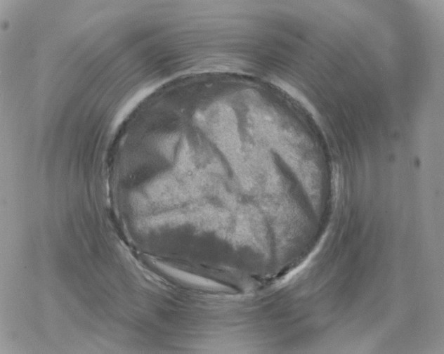 X0000078300925200611251505