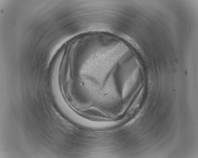 X0000078300926200611251505