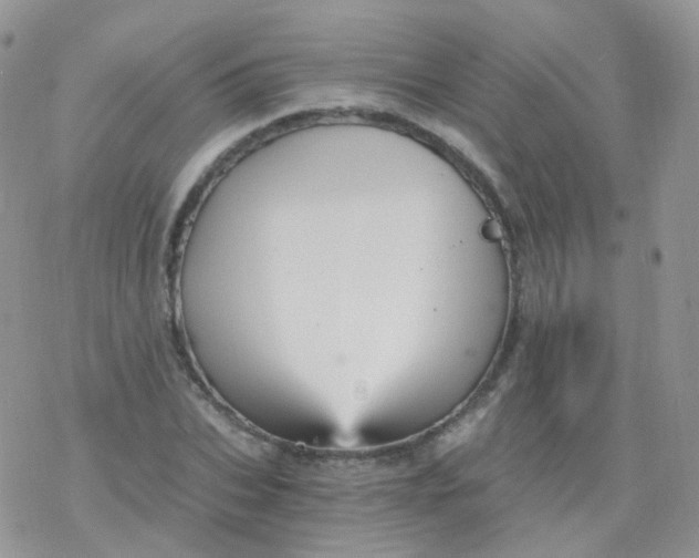 X0000078300927200611251505