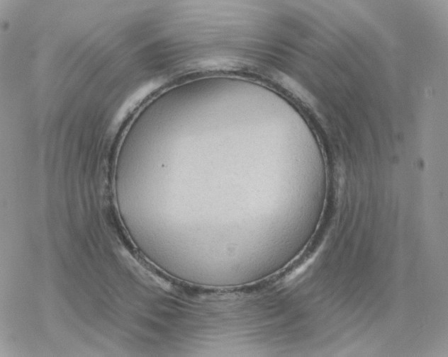 X0000078300930200611251505