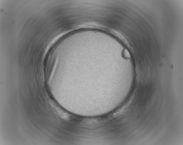 X0000078300931200611251505