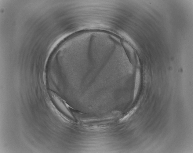 X0000078300932200611251505