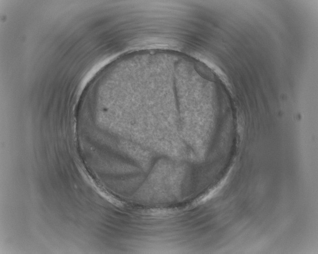 X0000078300933200611251505