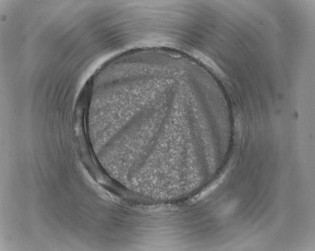 X0000078300934200611251505