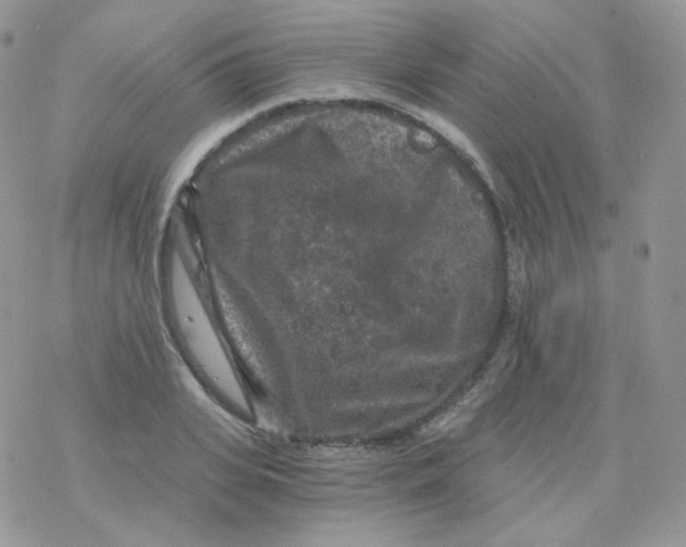 X0000078300935200611251505