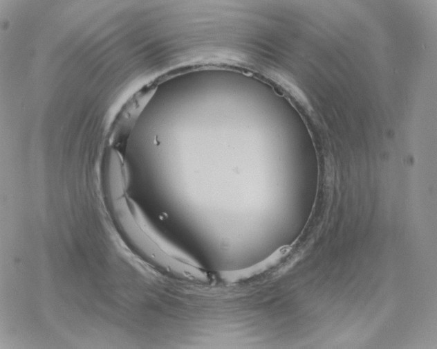 X0000078300936200611251505