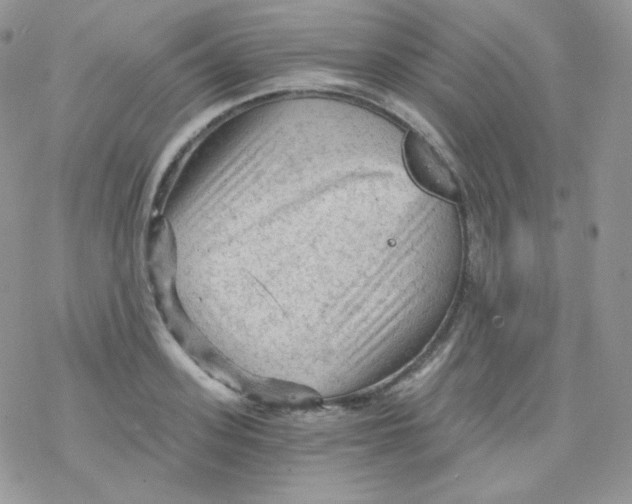 X0000078300939200611251505