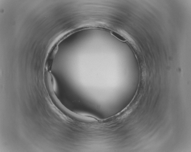 X0000078300940200611251505