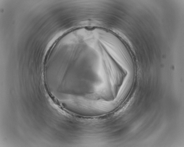 X0000078300941200611251505