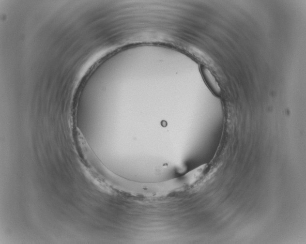 X0000078300942200611251505