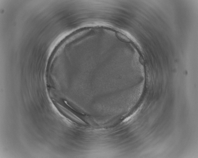 X0000078300943200611251505