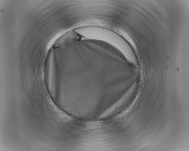 X0000078300944200611251505