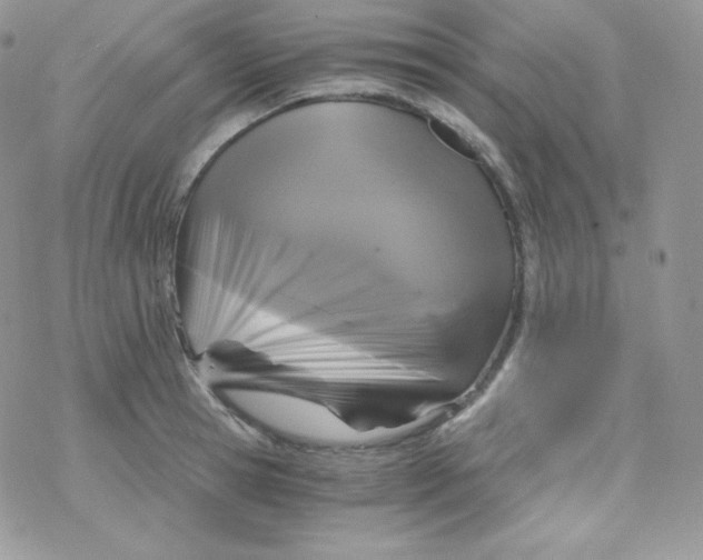 X0000078300945200611251505